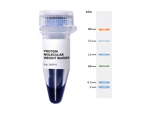 Protein Ladder Marker Kit